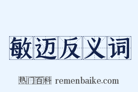 敏迈反义词是什么意思的图片